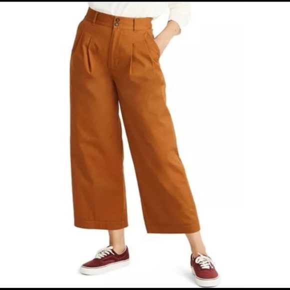Madewell Wide-leg Pleated Pants, Burnt Sienna - Picture 2 of 7